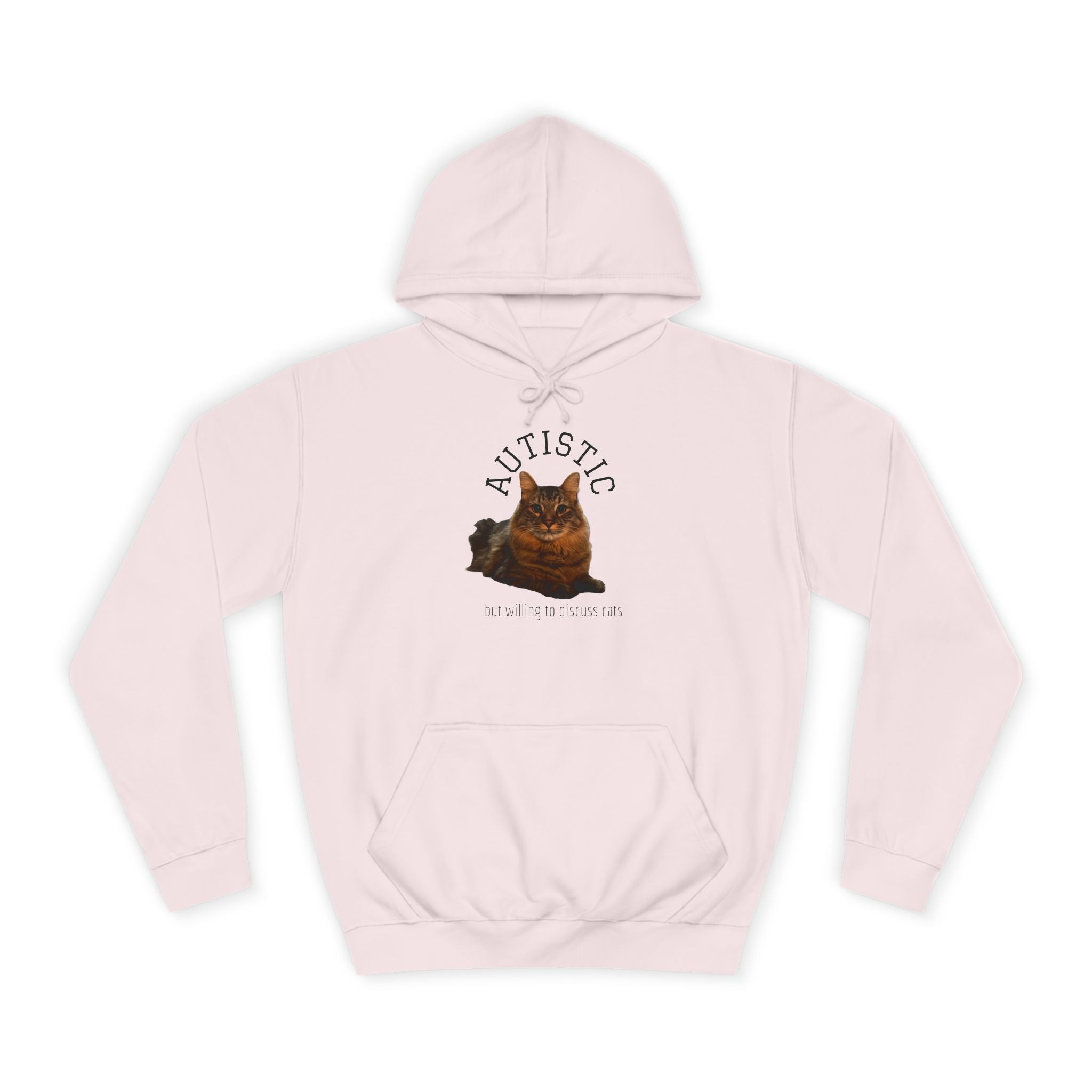 Autistic But Willing To Discuss Cats Hoodie