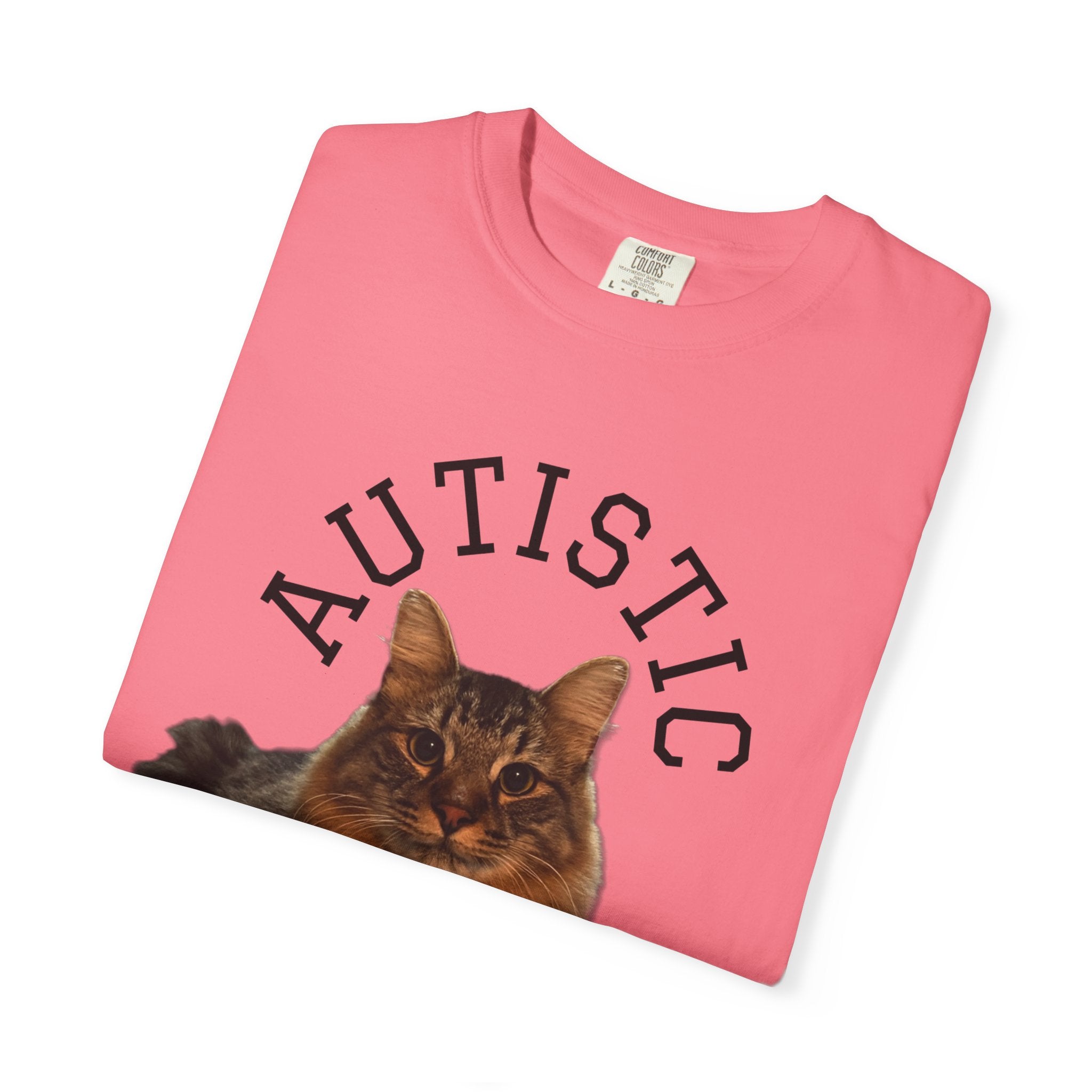 Autistic But Willing To Discuss Cats Shirt