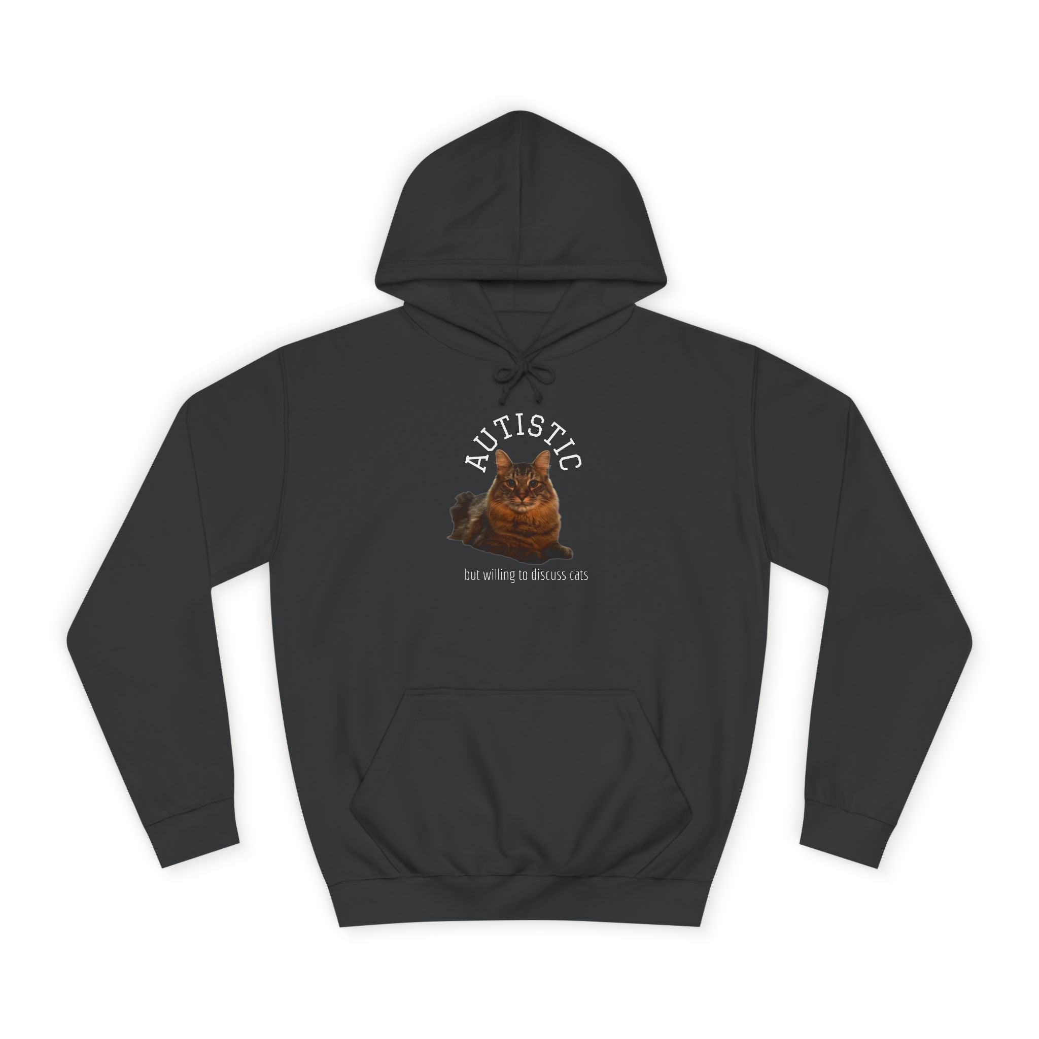 Autistic But Willing To Discuss Cats Hoodie