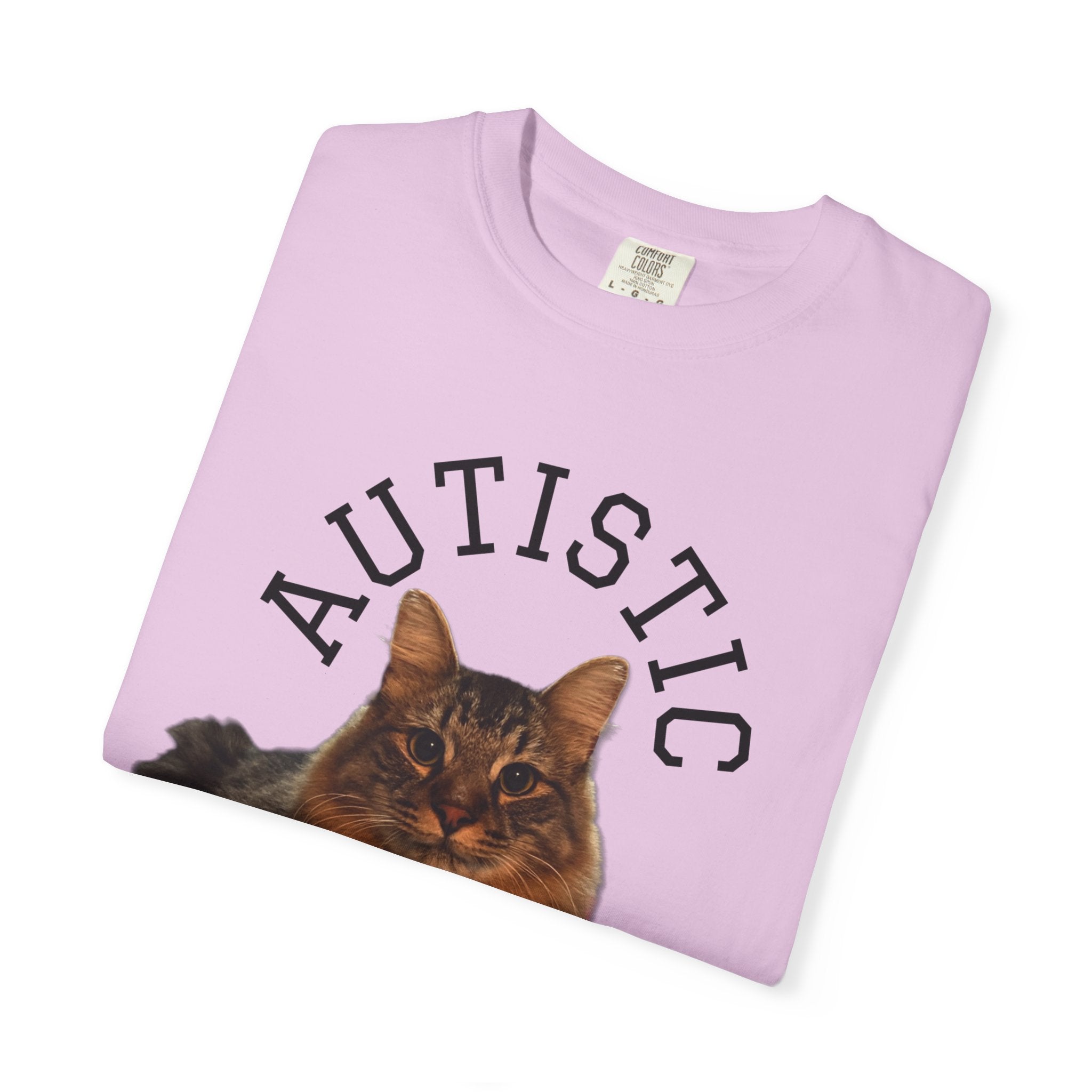 Autistic But Willing To Discuss Cats Shirt