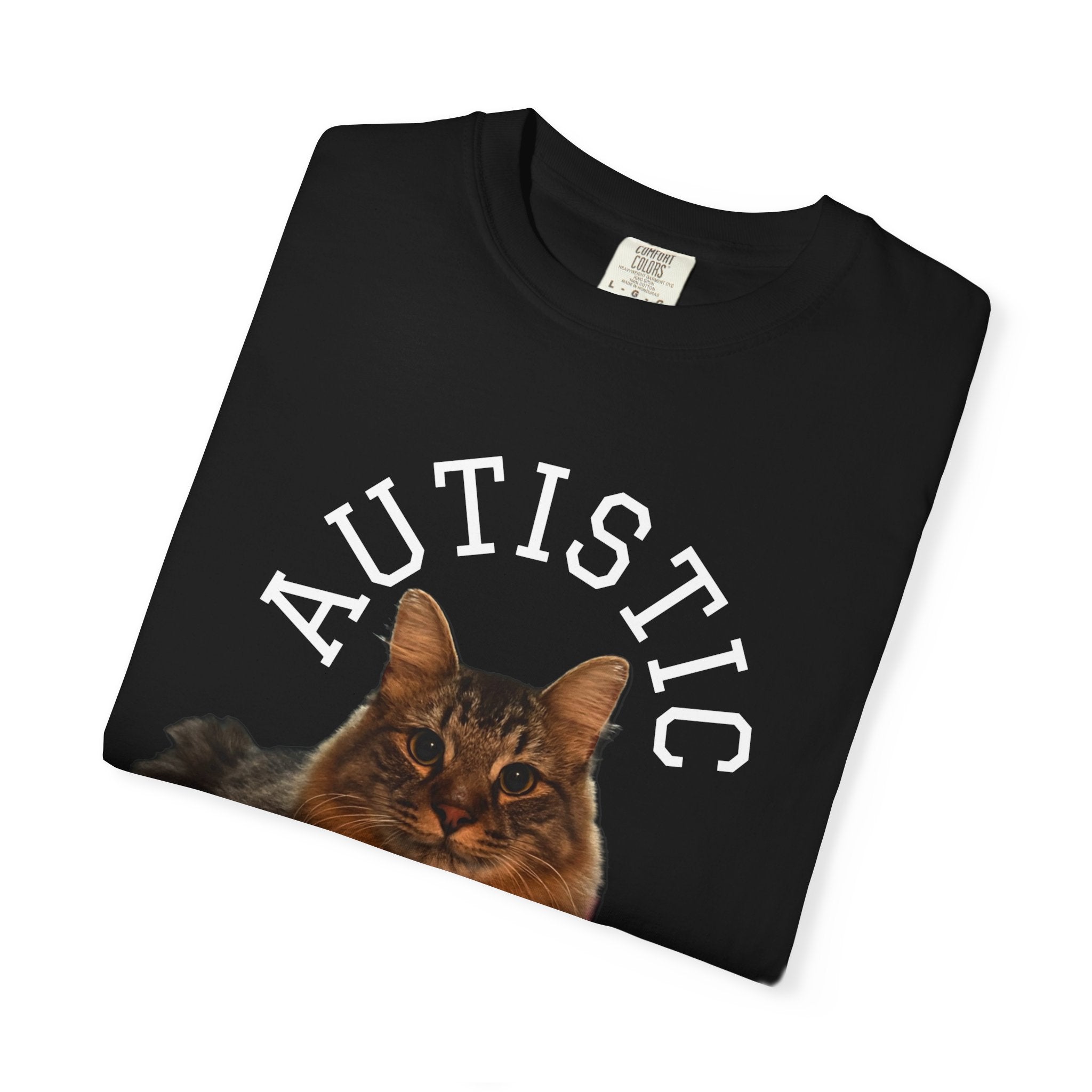 Autistic But Willing To Discuss Cats Shirt