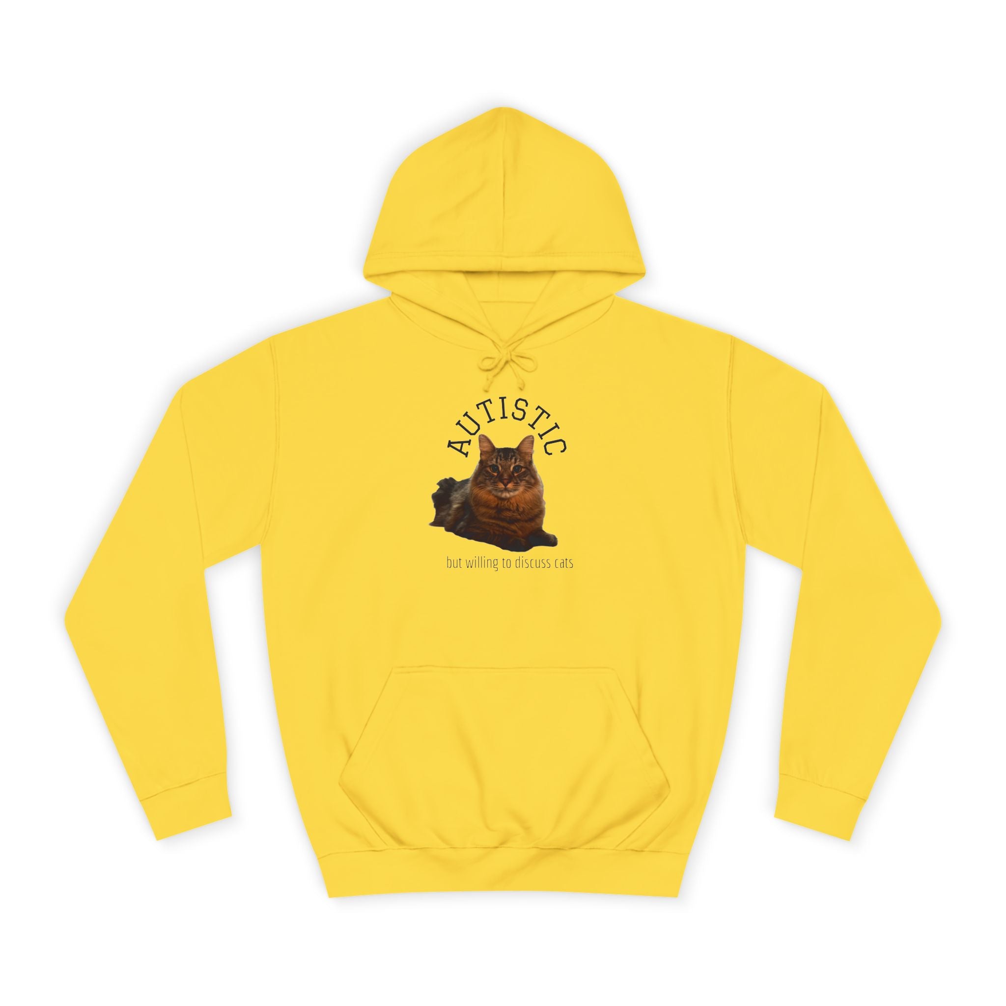 Autistic But Willing To Discuss Cats Hoodie