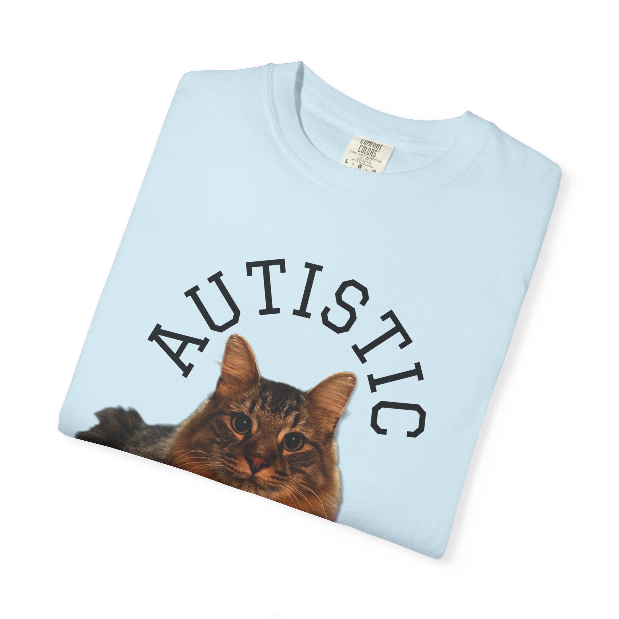 Autistic But Willing To Discuss Cats Shirt