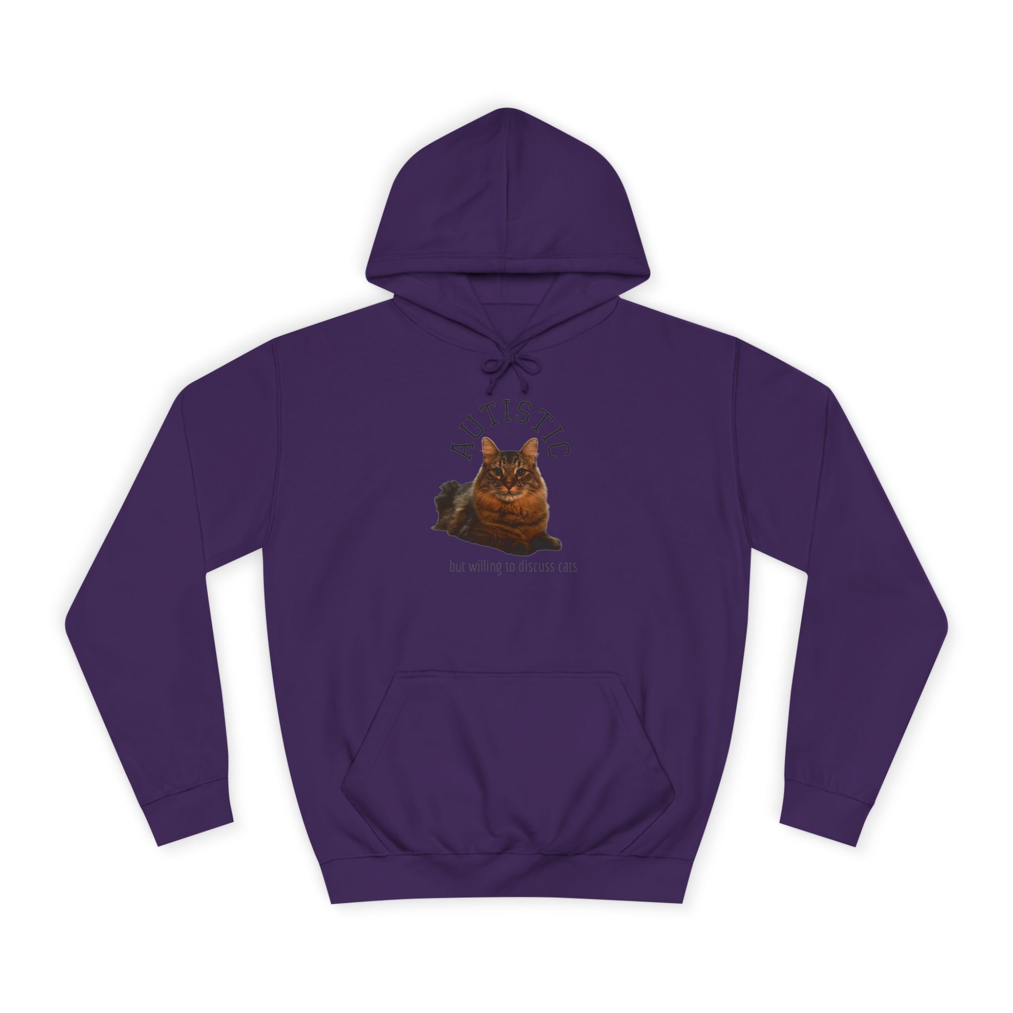 Autistic But Willing To Discuss Cats Hoodie