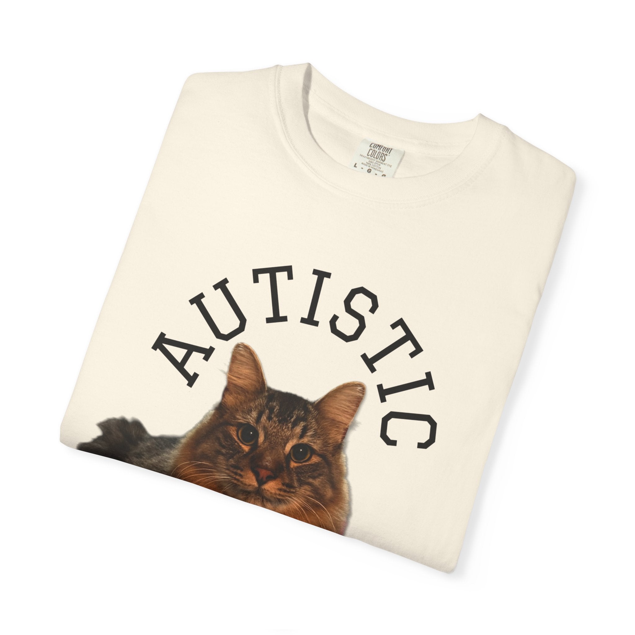 Autistic But Willing To Discuss Cats Shirt
