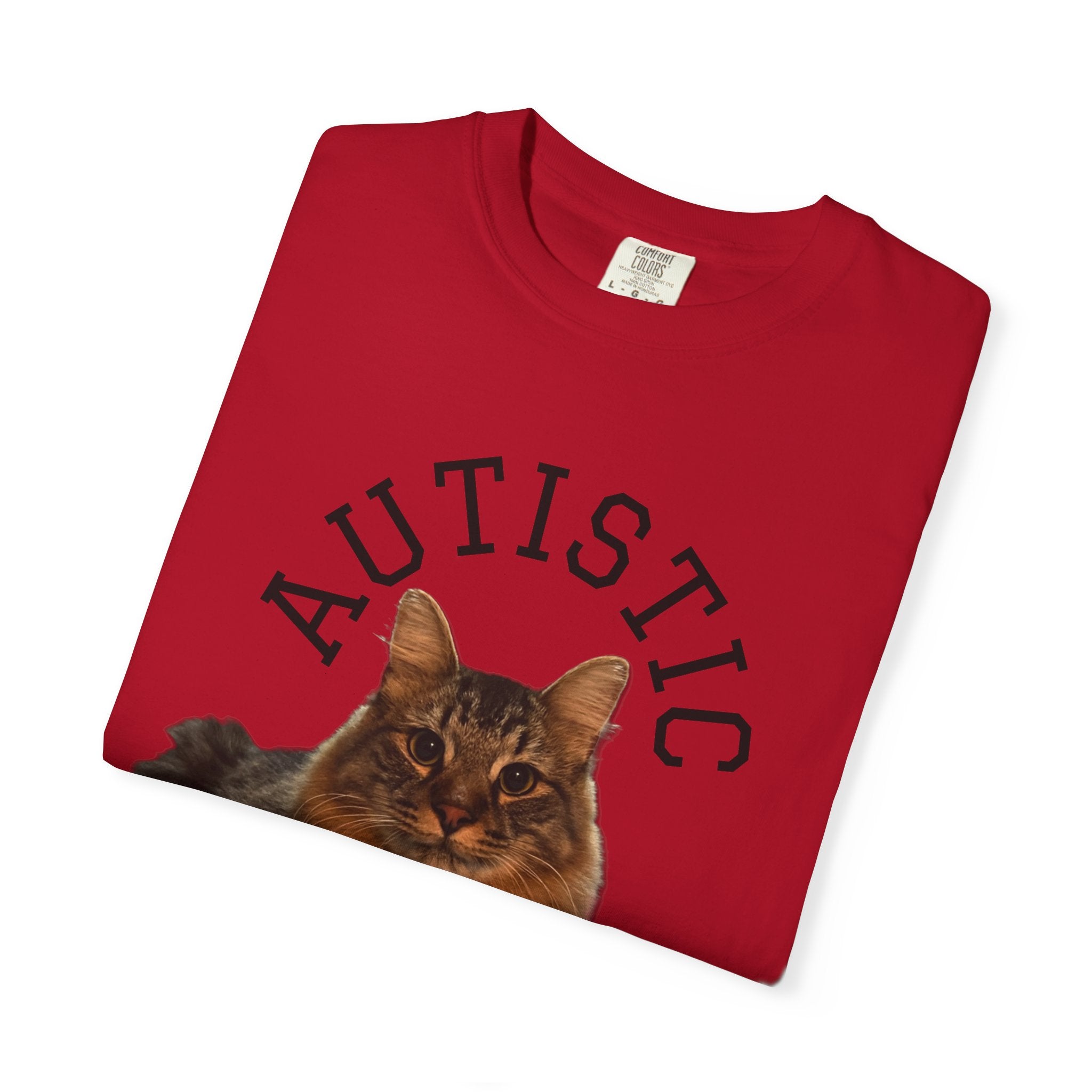 Autistic But Willing To Discuss Cats Shirt
